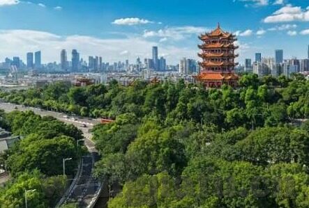 91麻豆精品观看国产-享国内视界佳作，91麻豆精品的魅力与文化价值
