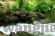 大象传媒回家导航-回家的路，大象传媒与智能导航的奇妙融合