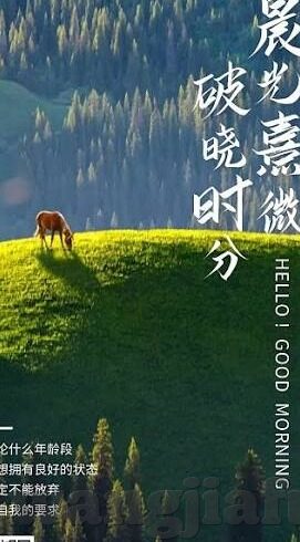 糖心vlog视频在线免费观看-品味生活日常，糖心Vlog视频的在线免费观看之乐